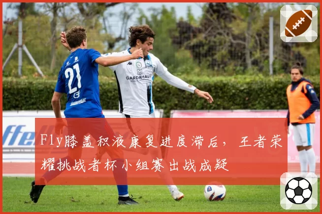 Fly膝盖积液康复进度滞后,王者荣耀挑战者杯小组赛出战成疑