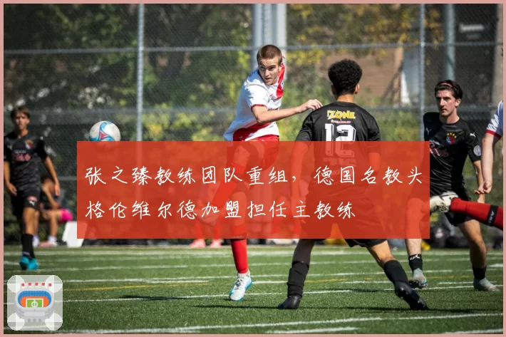 张之臻教练团队重组,德国名教头格伦维尔德加盟担任主教练
