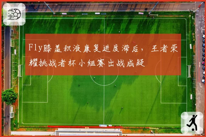 Fly膝盖积液康复进度滞后,王者荣耀挑战者杯小组赛出战成疑
