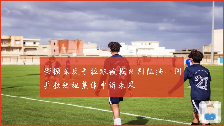樊振东反手拉球被裁判判阻挡,国乒教练组集体申诉未果