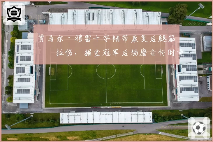 贾马尔·穆雷十字韧带康复后腿筋再拉伤，掘金冠军后场磨合何时重启？